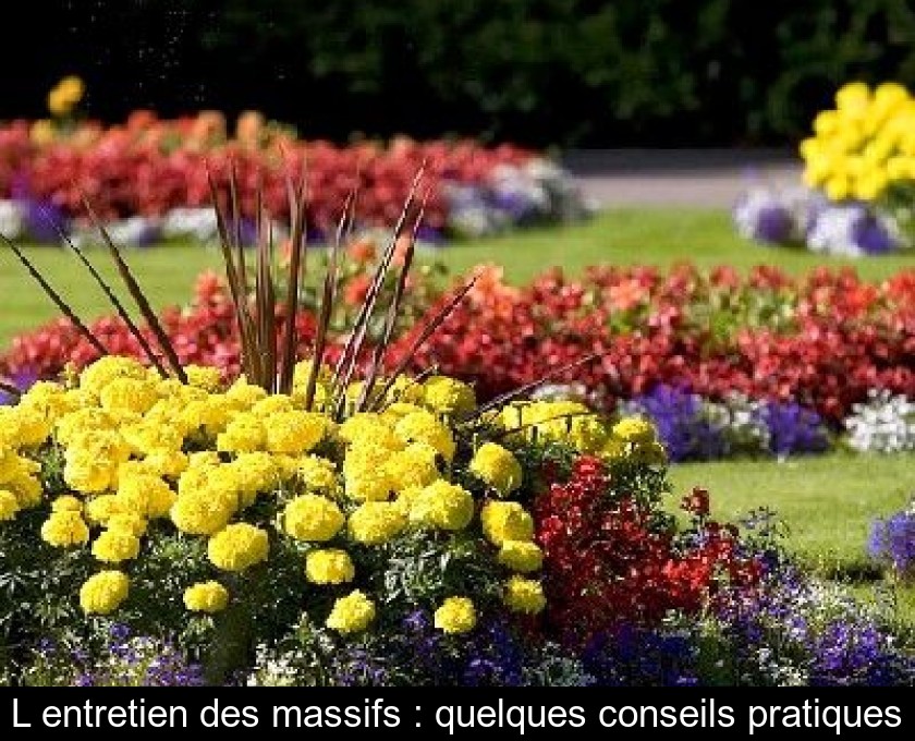 L'entretien des massifs : quelques conseils pratiques L'entretien des massifs : quelques conseils pratiques