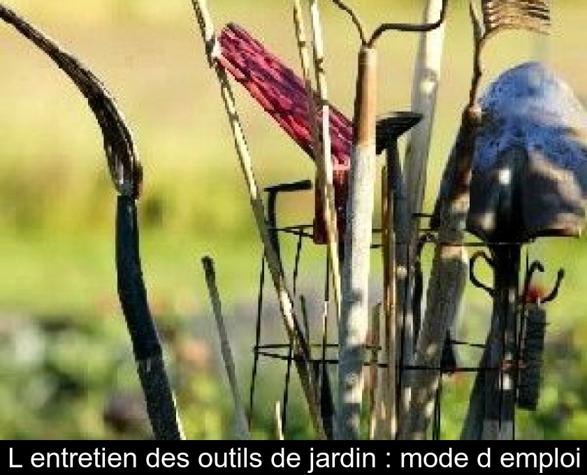 L'entretien des outils de jardin : mode d'emploi L'entretien des outils de jardin : mode d'emploi