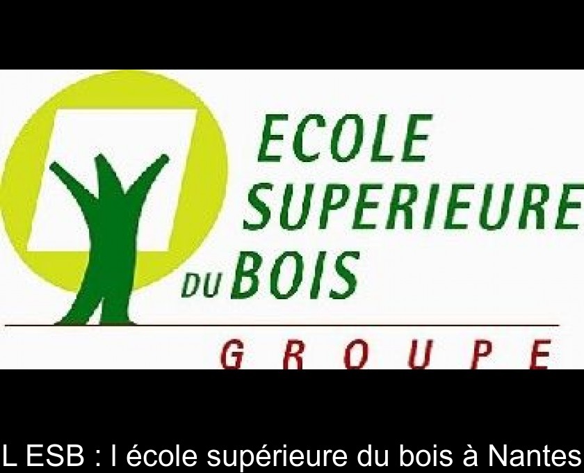 L'ESB : l'école supérieure du bois à Nantes L'ESB : l'école supérieure du bois à Nantes