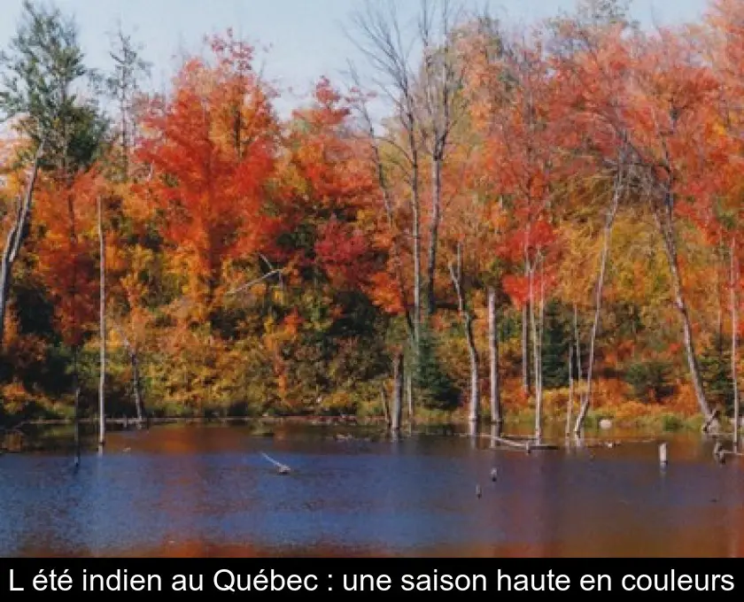 L'été indien au Québec : une saison haute en couleurs