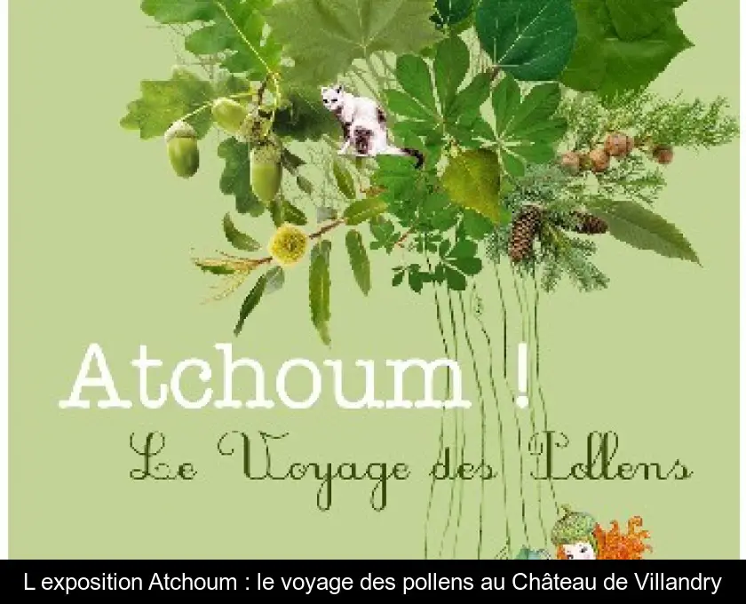 L'exposition Atchoum : le voyage des pollens au Château de Villandry