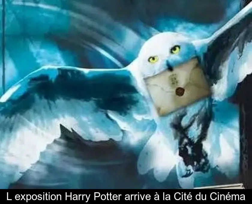 L'exposition Harry Potter arrive à la Cité du Cinéma