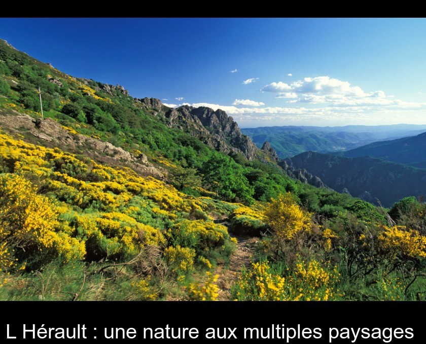 L'Hérault : une nature aux multiples paysages L'Hérault : une nature aux multiples paysages