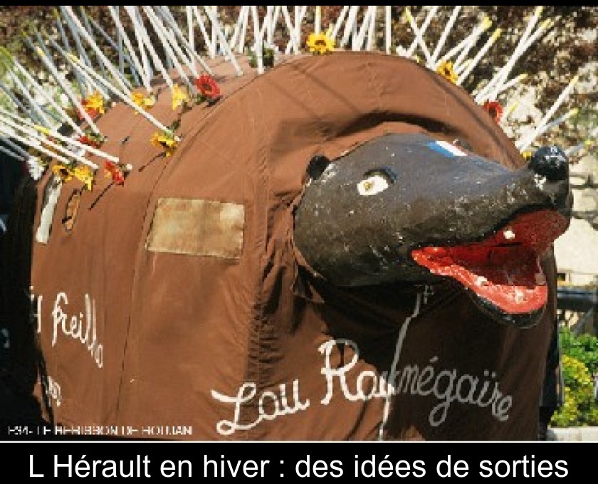 L'Hérault en hiver : des idées de sorties L'Hérault en hiver : des idées de sorties