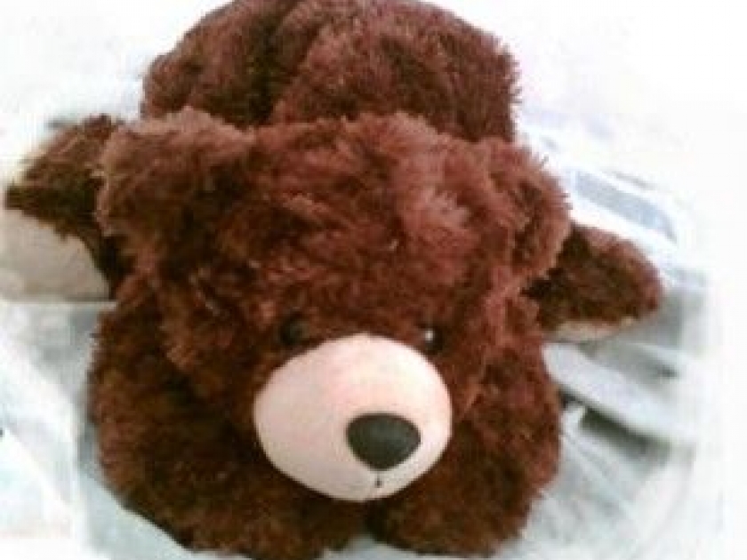 L'histoire de l'ours en peluche : origines et évolutions L'histoire de l'ours en peluche : origines et évolutions