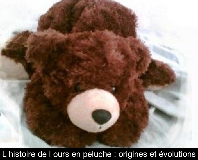 Nounours, ours en peluche, teddy bear à adopter