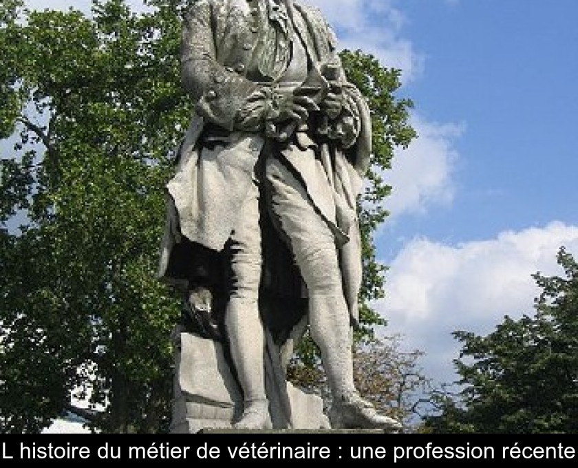 L'histoire du métier de vétérinaire : une profession récente L'histoire du métier de vétérinaire : une profession récente