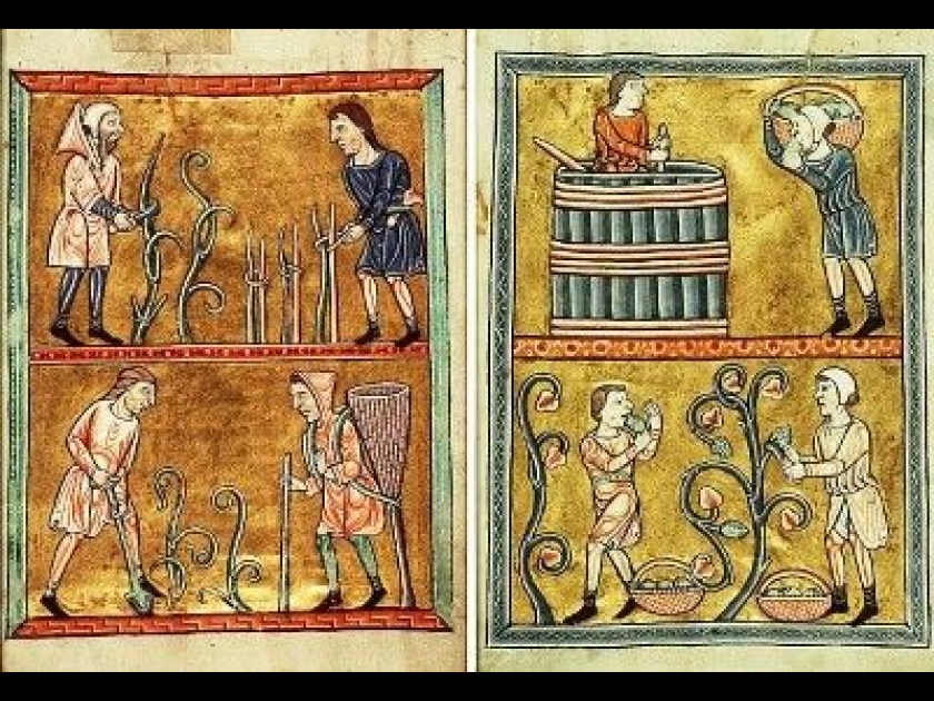 L'histoire du vin L'histoire du vin