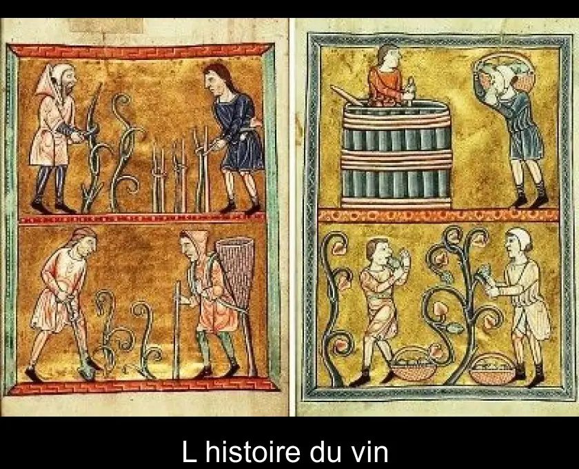 L'histoire du vin 