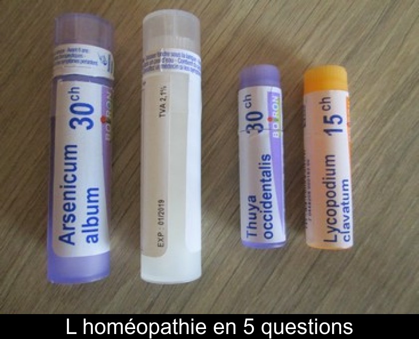 L'homéopathie en 5 questions L'homéopathie en 5 questions