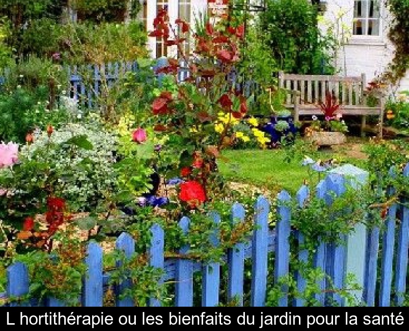 L'hortithérapie ou les bienfaits du jardin pour la santé