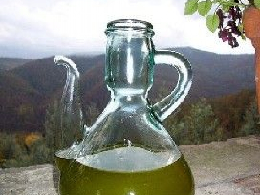 L'huile d'olive : l'or vert du terroir provençal L'huile d'olive : l'or vert du terroir provençal