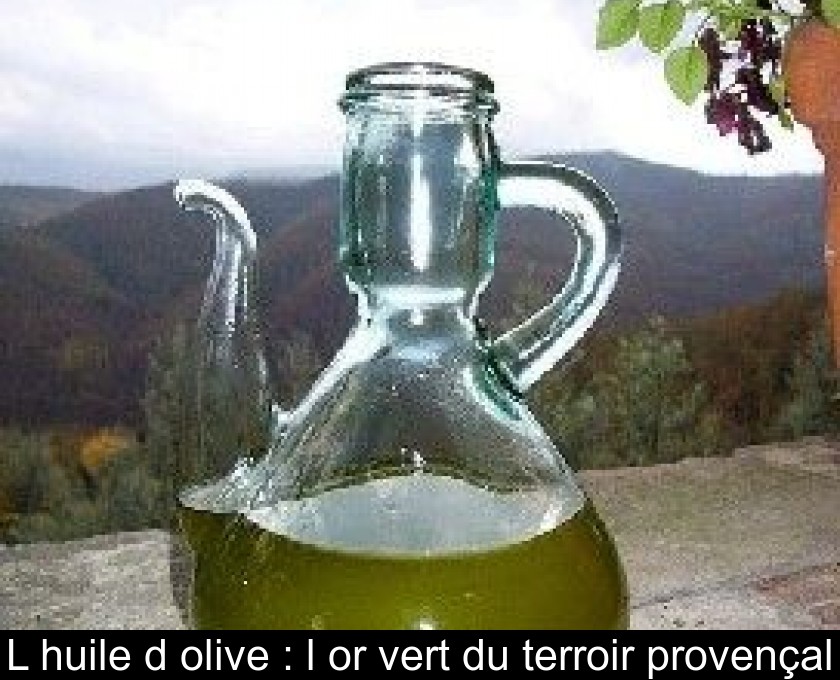 L'huile d'olive : l'or vert du terroir provençal L'huile d'olive : l'or vert du terroir provençal