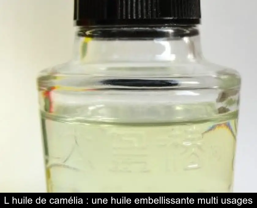 L'huile de camélia : une huile embellissante multi usages