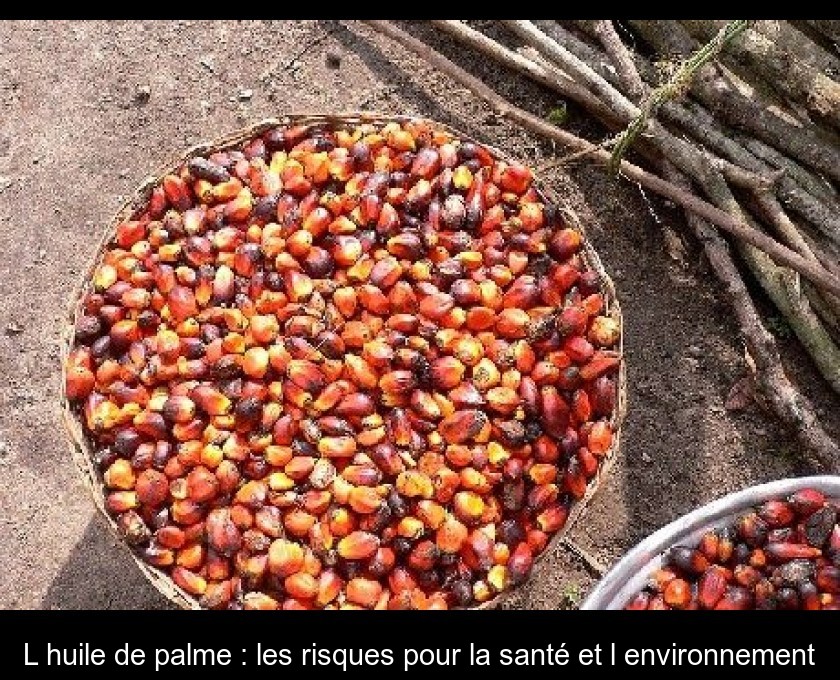 L'huile de palme : les risques pour la santé et l'environnement L'huile de palme : les risques pour la santé et l'environnement