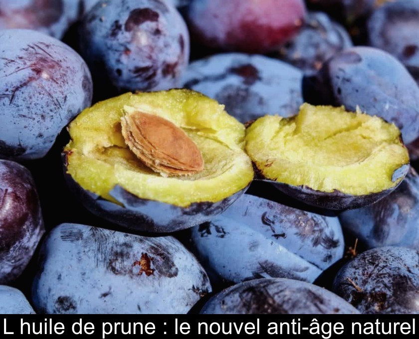 L'huile de prune : le nouvel anti-âge naturel L'huile de prune : le nouvel anti-âge naturel