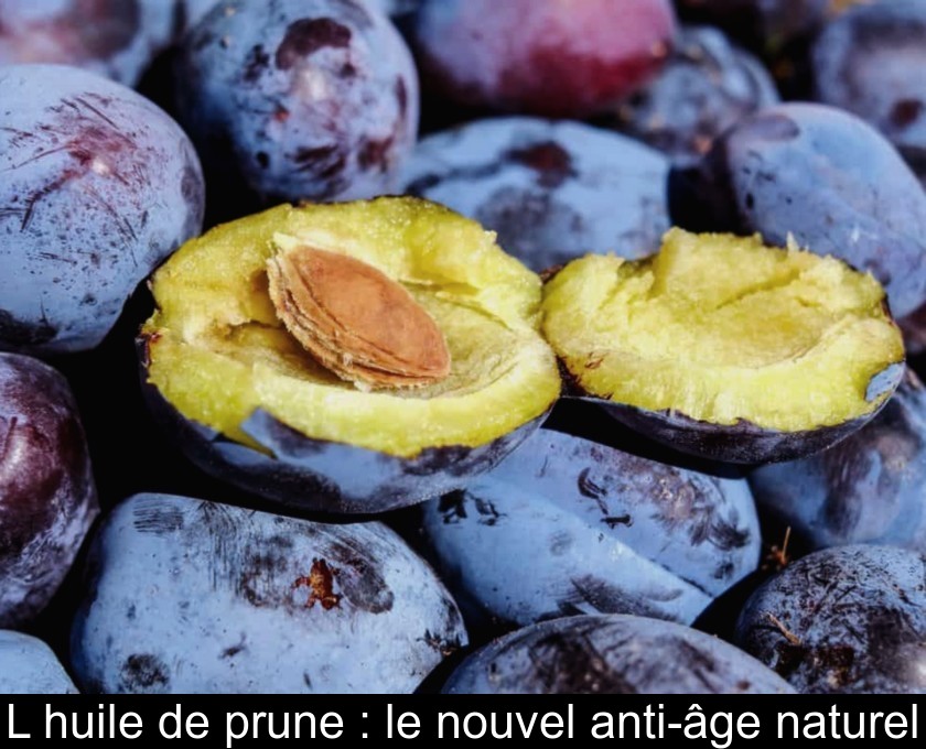 L'huile de prune : le nouvel anti-âge naturel