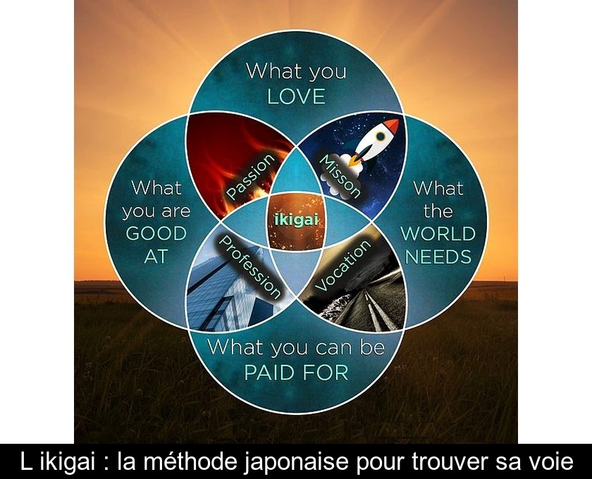 L'ikigai : la méthode japonaise pour trouver sa voie L'ikigai : la méthode japonaise pour trouver sa voie