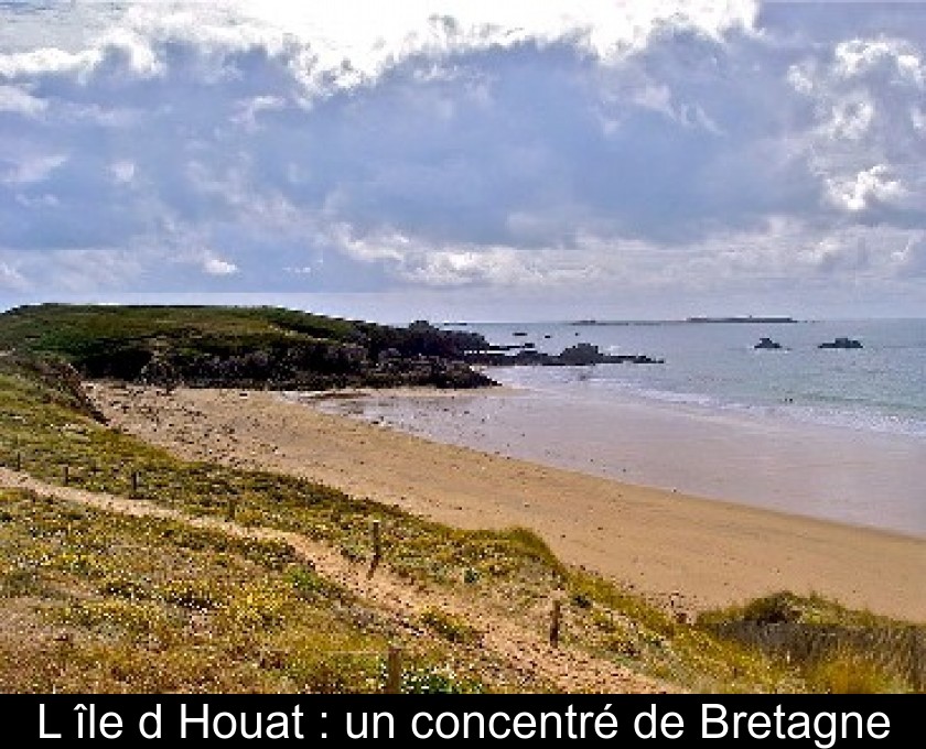 L'île d'Houat : un concentré de Bretagne L'île d'Houat : un concentré de Bretagne