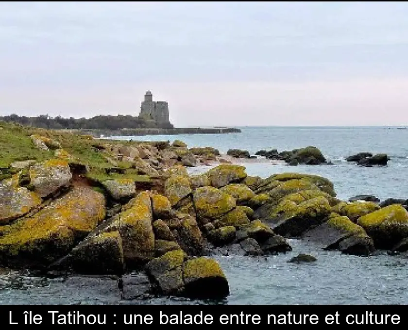 L'île Tatihou : une balade entre nature et culture