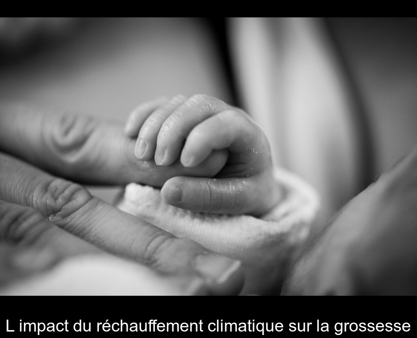 L'impact du réchauffement climatique sur la grossesse L'impact du réchauffement climatique sur la grossesse