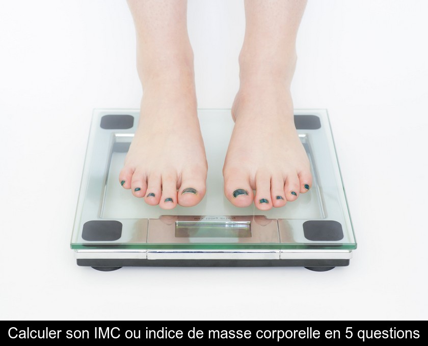 L'indice de masse corporelle ou IMC : définition et calcul L'indice de masse corporelle ou IMC : définition et calcul