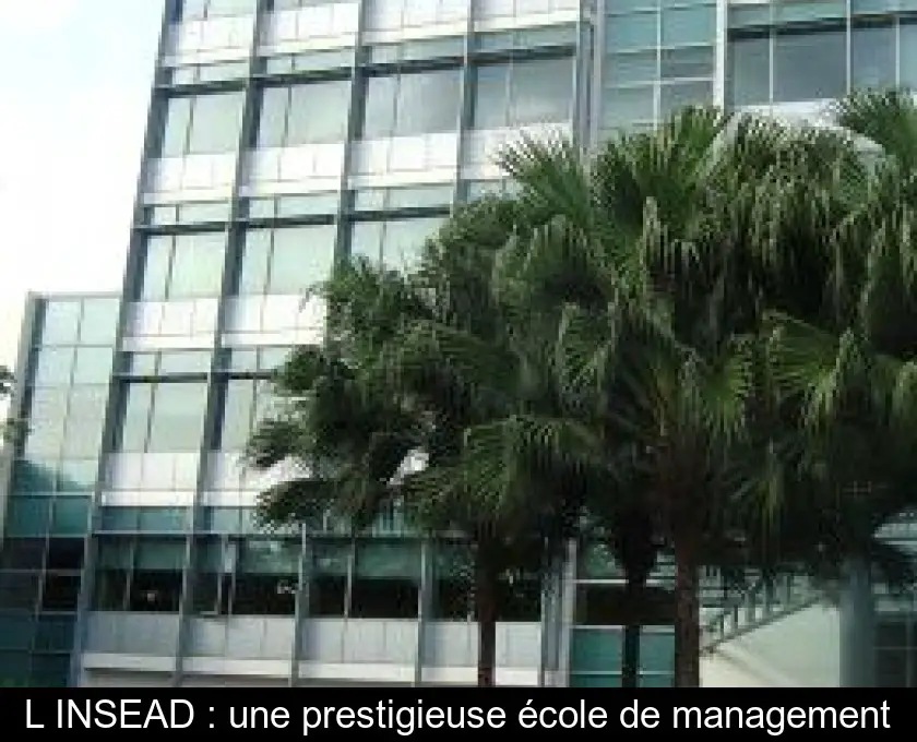 L'INSEAD : une prestigieuse école de management