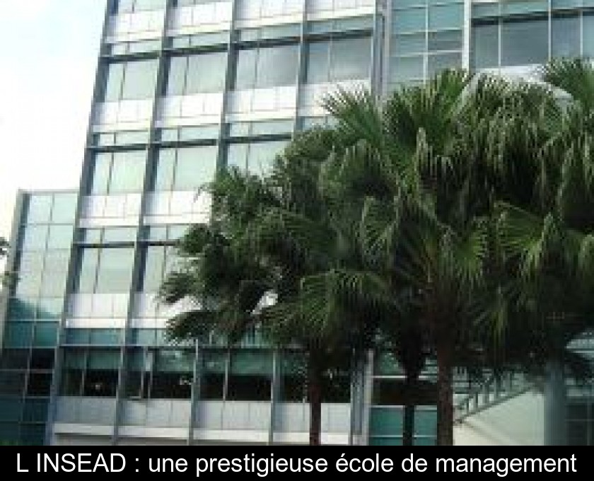 L'INSEAD : une prestigieuse école de management L'INSEAD : une prestigieuse école de management