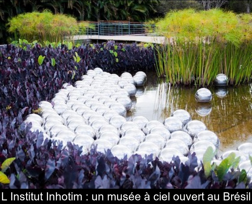 L'Institut Inhotim : un musée à ciel ouvert au Brésil