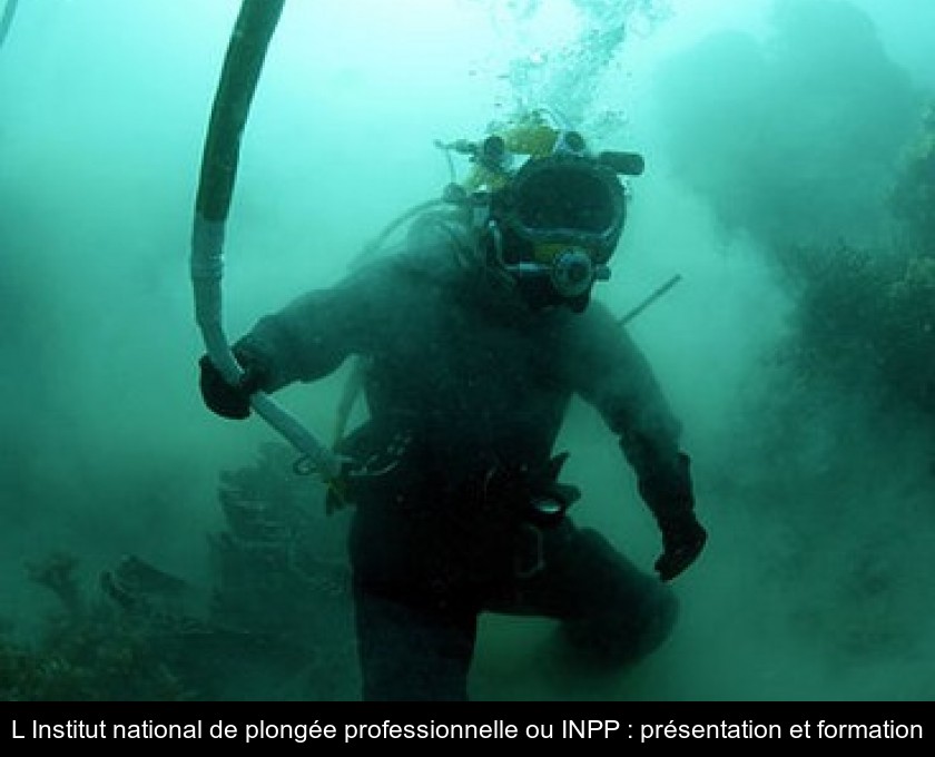 L'Institut national de plongée professionnelle ou INPP : présentation et formation