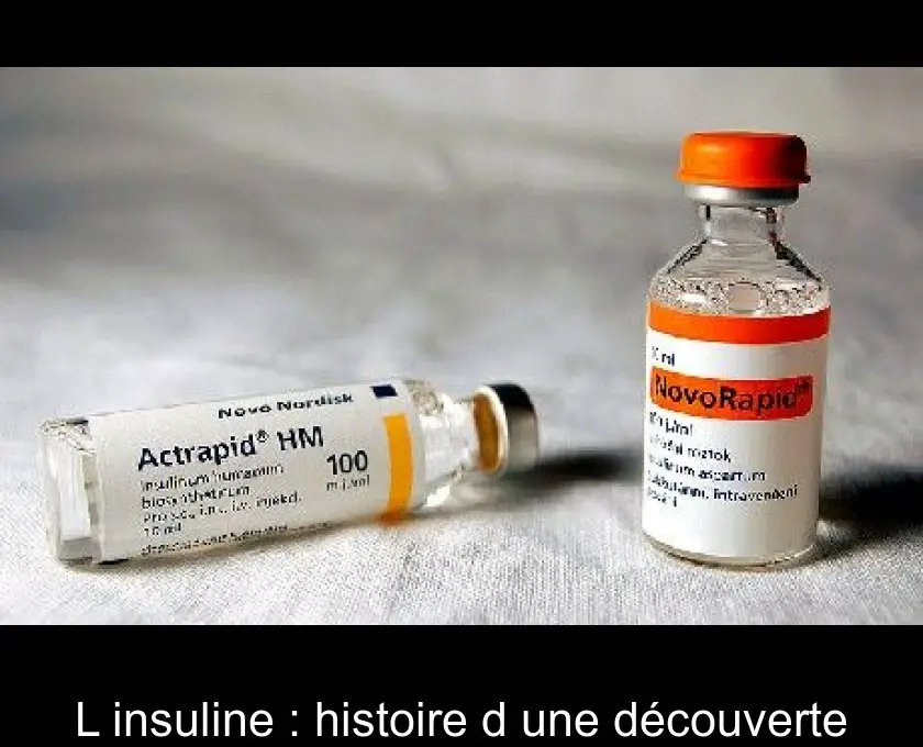 L'insuline : histoire d'une découverte