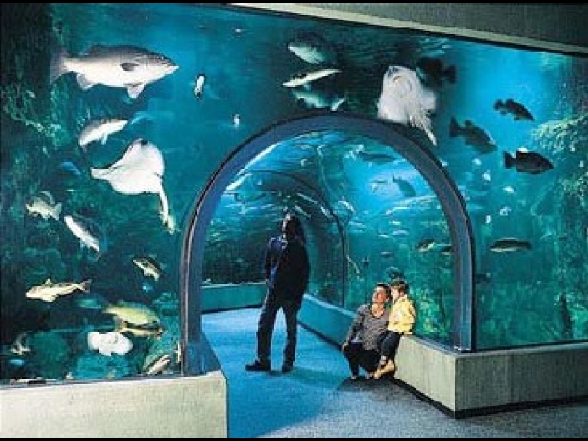 L'Océarium du Croisic : un aquarium au bord de l'eau L'Océarium du Croisic : un aquarium au bord de l'eau