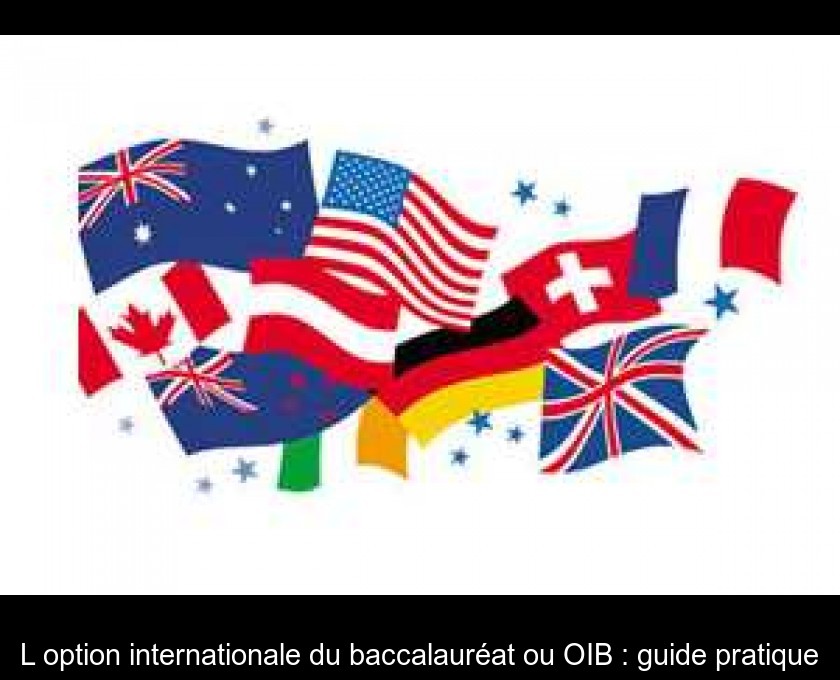 L'option internationale du baccalauréat ou OIB : guide pratique L'option internationale du baccalauréat ou OIB : guide pratique