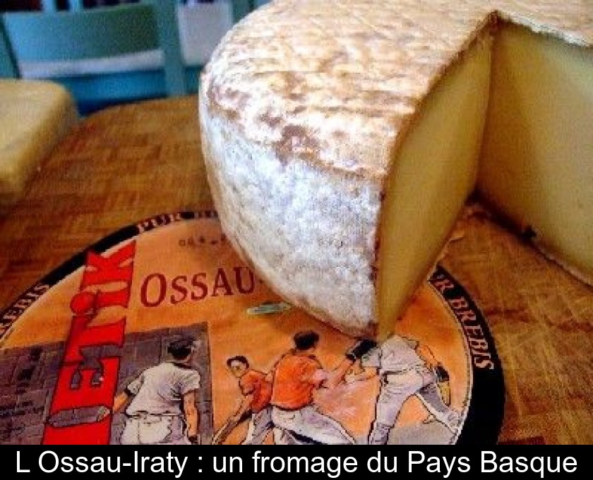 L'Ossau-Iraty : un fromage du Pays Basque L'Ossau-Iraty : un fromage du Pays Basque