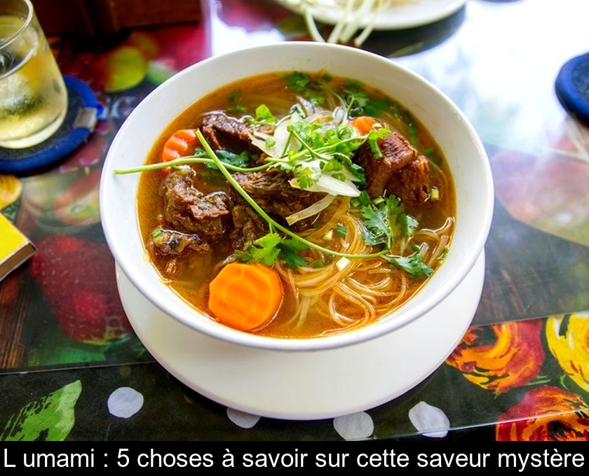 L'umami : 5 choses à savoir sur cette saveur mystère L'umami : 5 choses à savoir sur cette saveur mystère