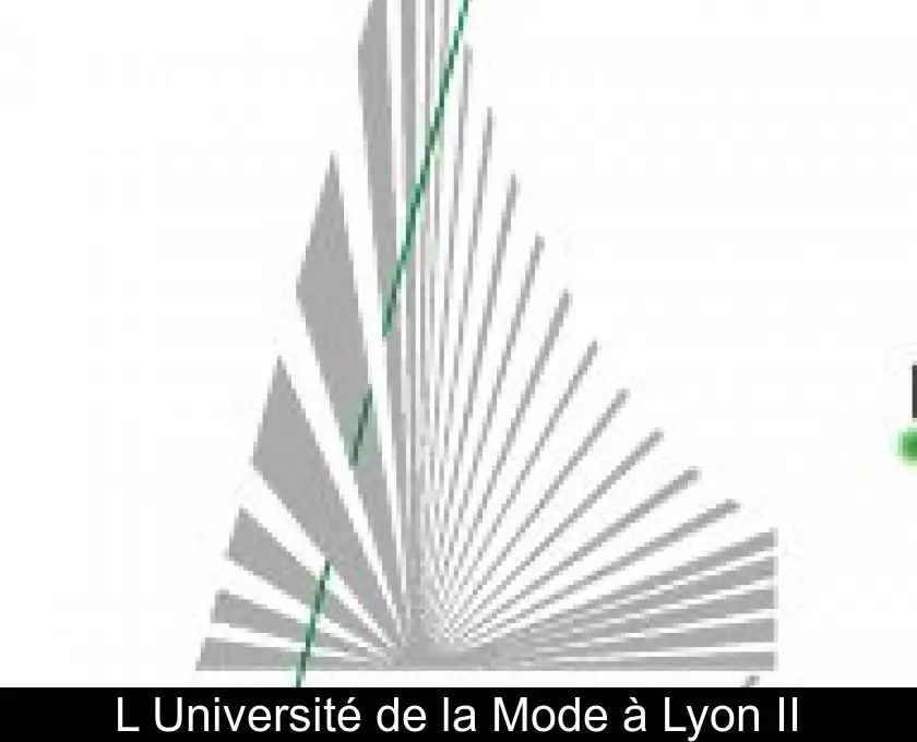 L'Université de la Mode à Lyon II
