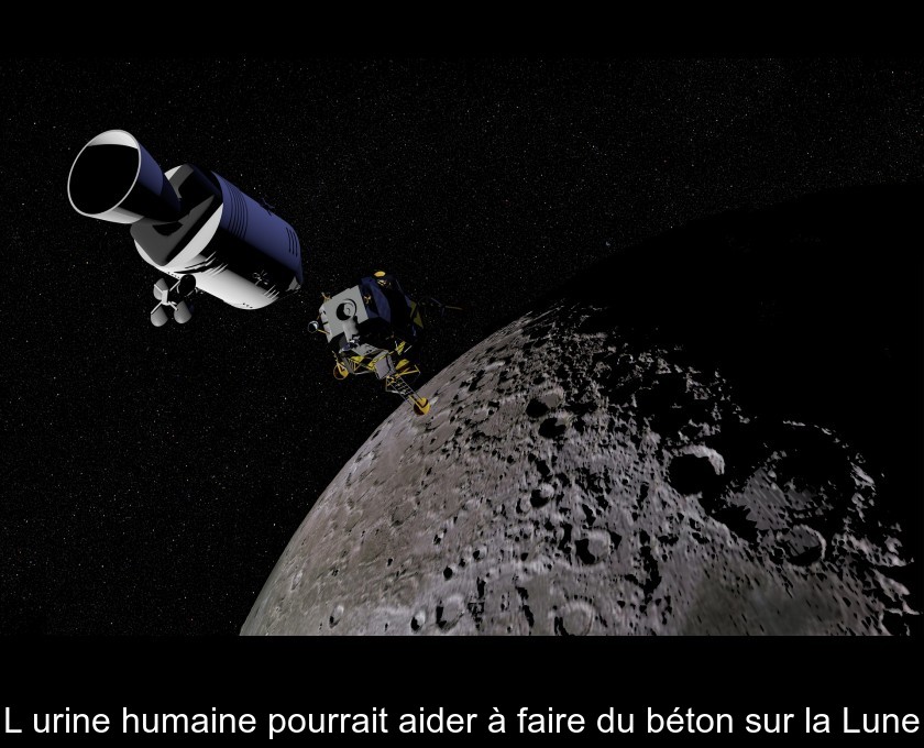 L'urine humaine pourrait aider à faire du béton sur la Lune L'urine humaine pourrait aider à faire du béton sur la Lune