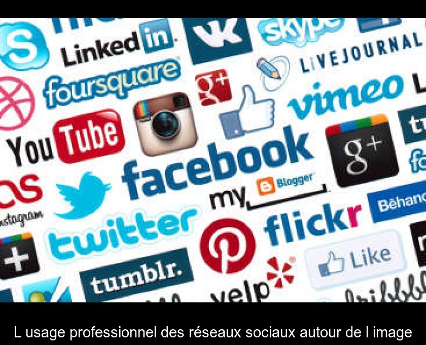 L'usage professionnel des réseaux sociaux autour de l'image L'usage professionnel des réseaux sociaux autour de l'image
