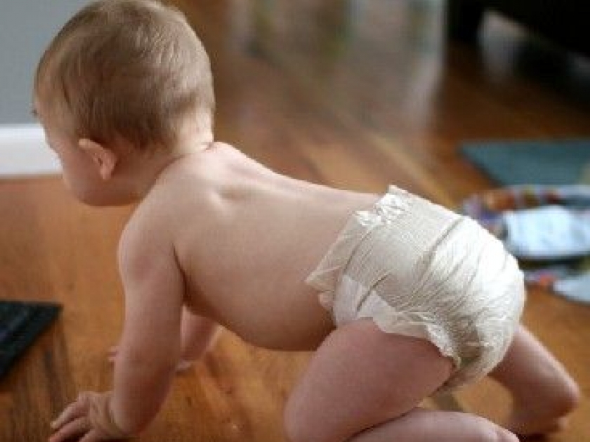 La baby gym : la gym des 2 à 6 ans La baby gym : la gym des 2 à 6 ans