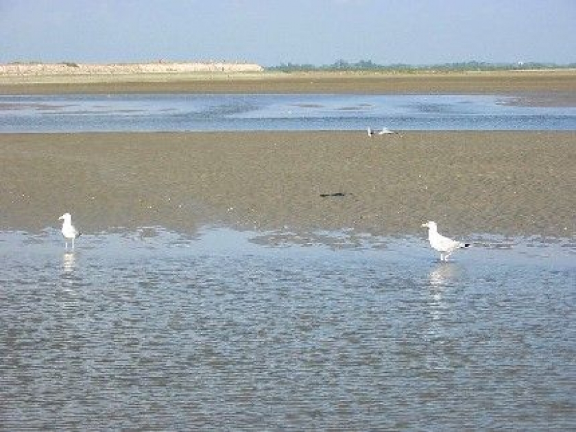 La baie de Somme : une magnifique escapade La baie de Somme : une magnifique escapade