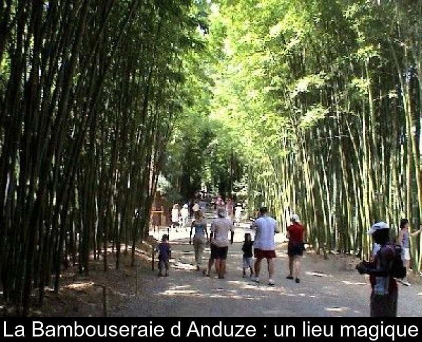 La Bambouseraie d'Anduze : un lieu magique La Bambouseraie d'Anduze : un lieu magique