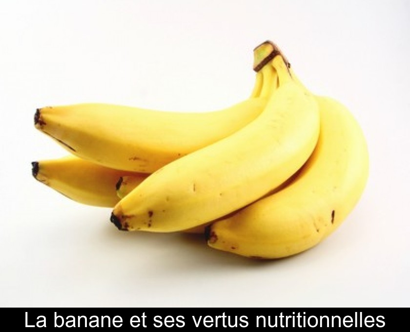 La banane et ses vertus nutritionnelles La banane et ses vertus nutritionnelles