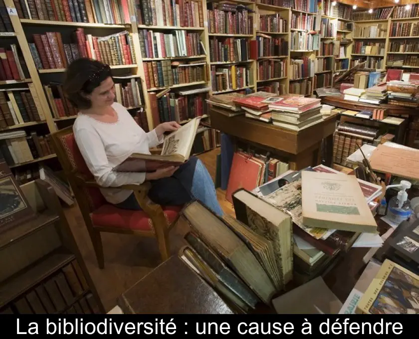 La bibliodiversité : une cause à défendre