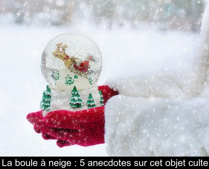 La boule à neige : 5 anecdotes sur cet objet culte La boule à neige : 5 anecdotes sur cet objet culte