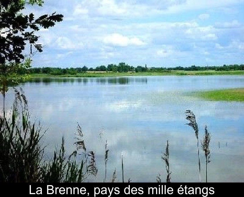 La Brenne, pays des mille étangs La Brenne, pays des mille étangs