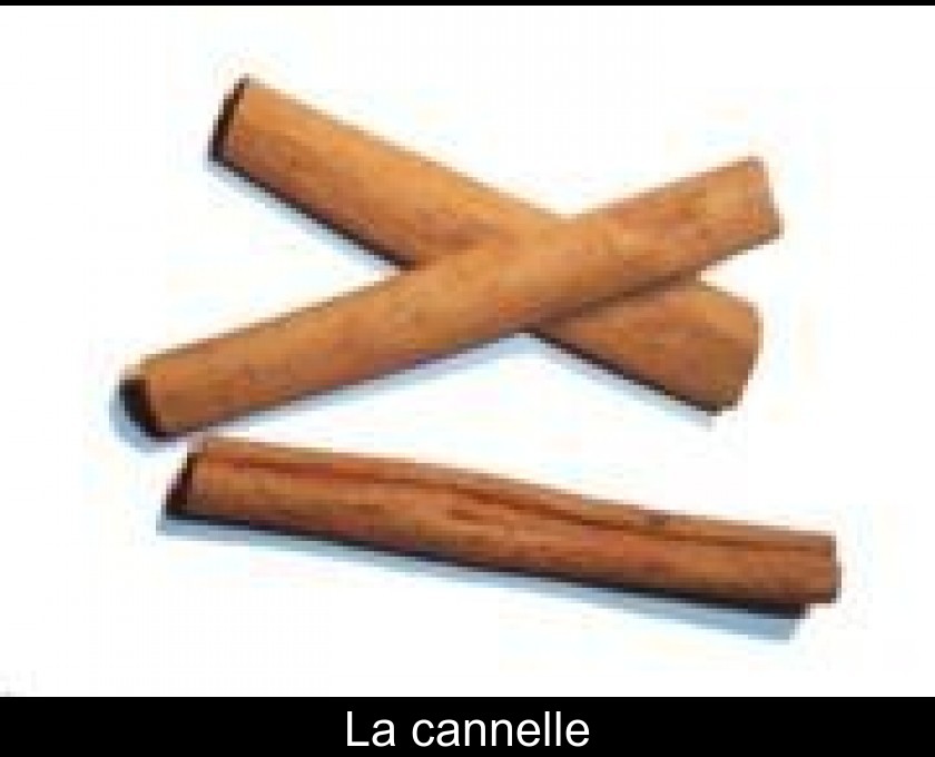 La cannelle La cannelle