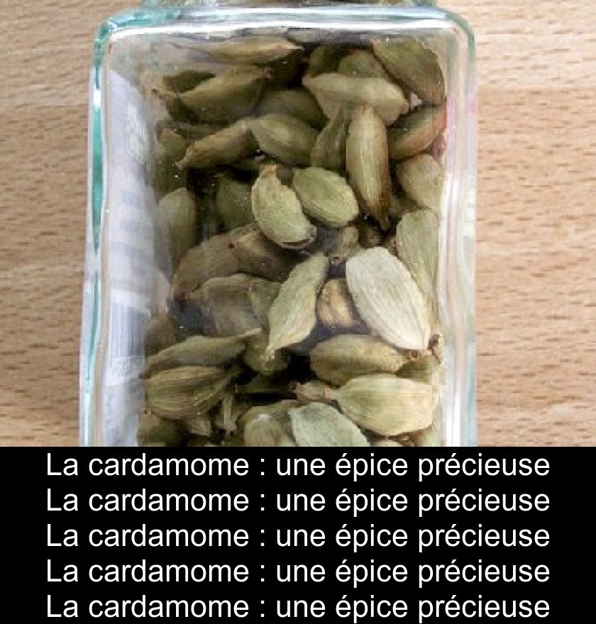 La cardamome : une épice précieuse La cardamome : une épice précieuse
