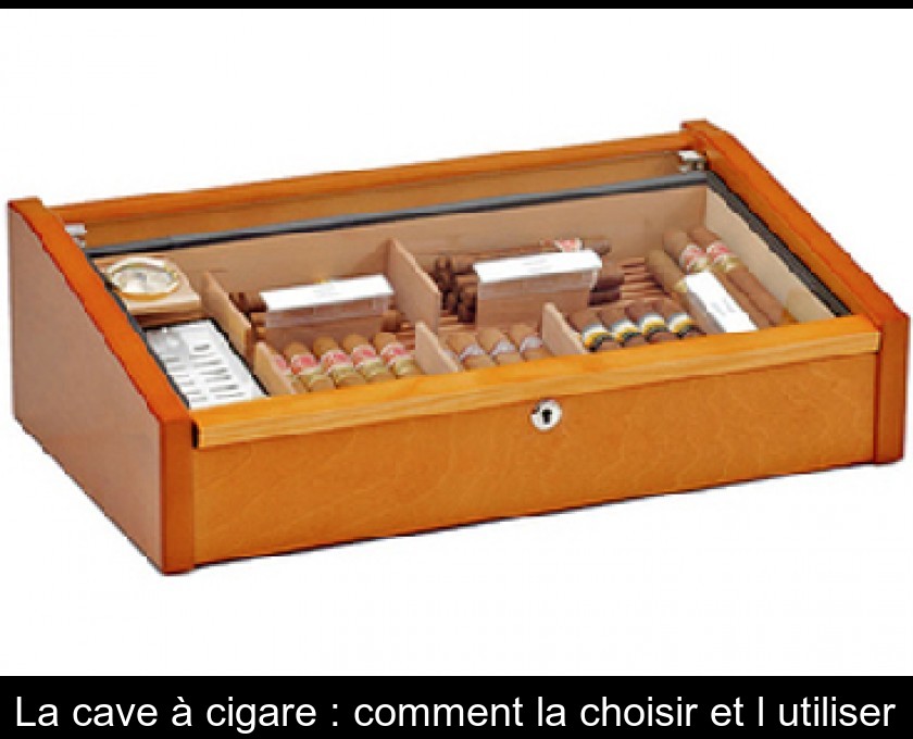 La cave à cigare : comment la choisir et l'utiliser La cave à cigare : comment la choisir et l'utiliser