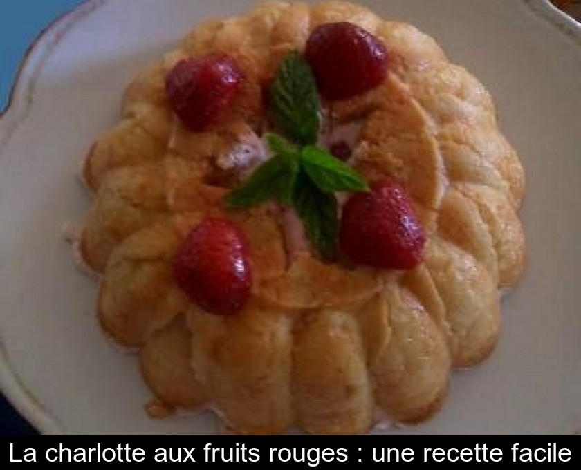 La charlotte aux fruits rouges : une recette facile La charlotte aux fruits rouges : une recette facile