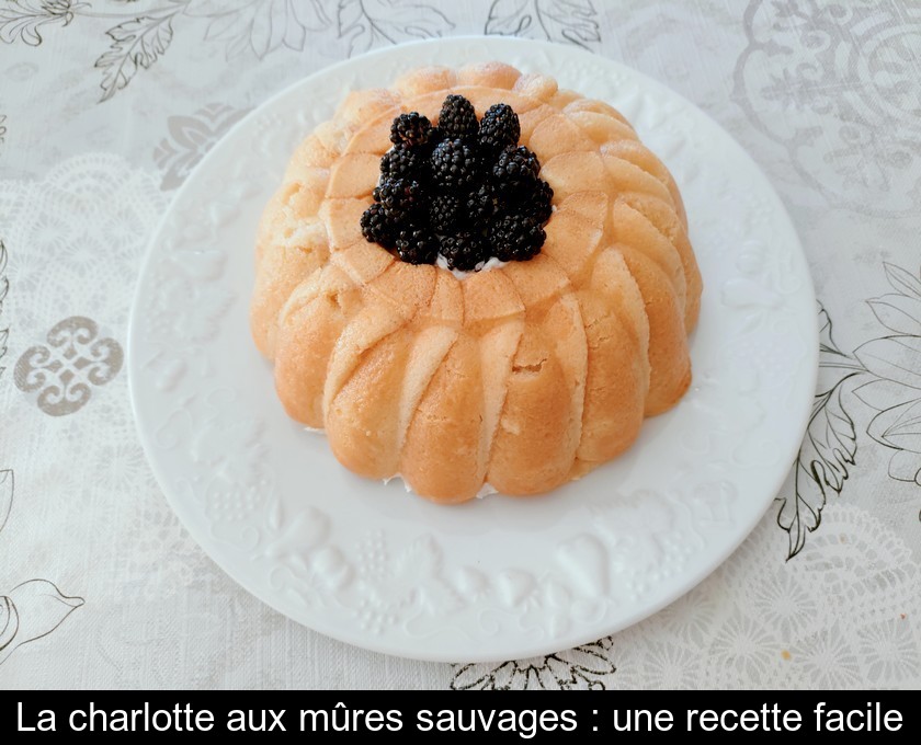 La charlotte aux mûres sauvages : une recette facile La charlotte aux mûres sauvages : une recette facile